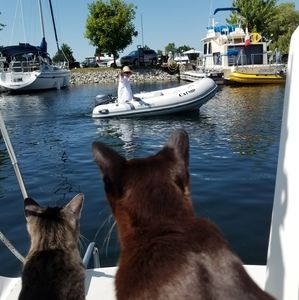 Meet your Posher, Ann